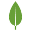 MongoDB